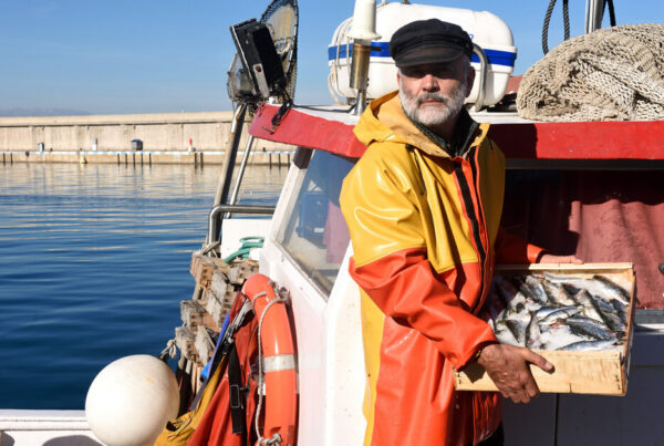Pomoc w norwegii - rozliczenie podatkowe marynarzy i rybaków